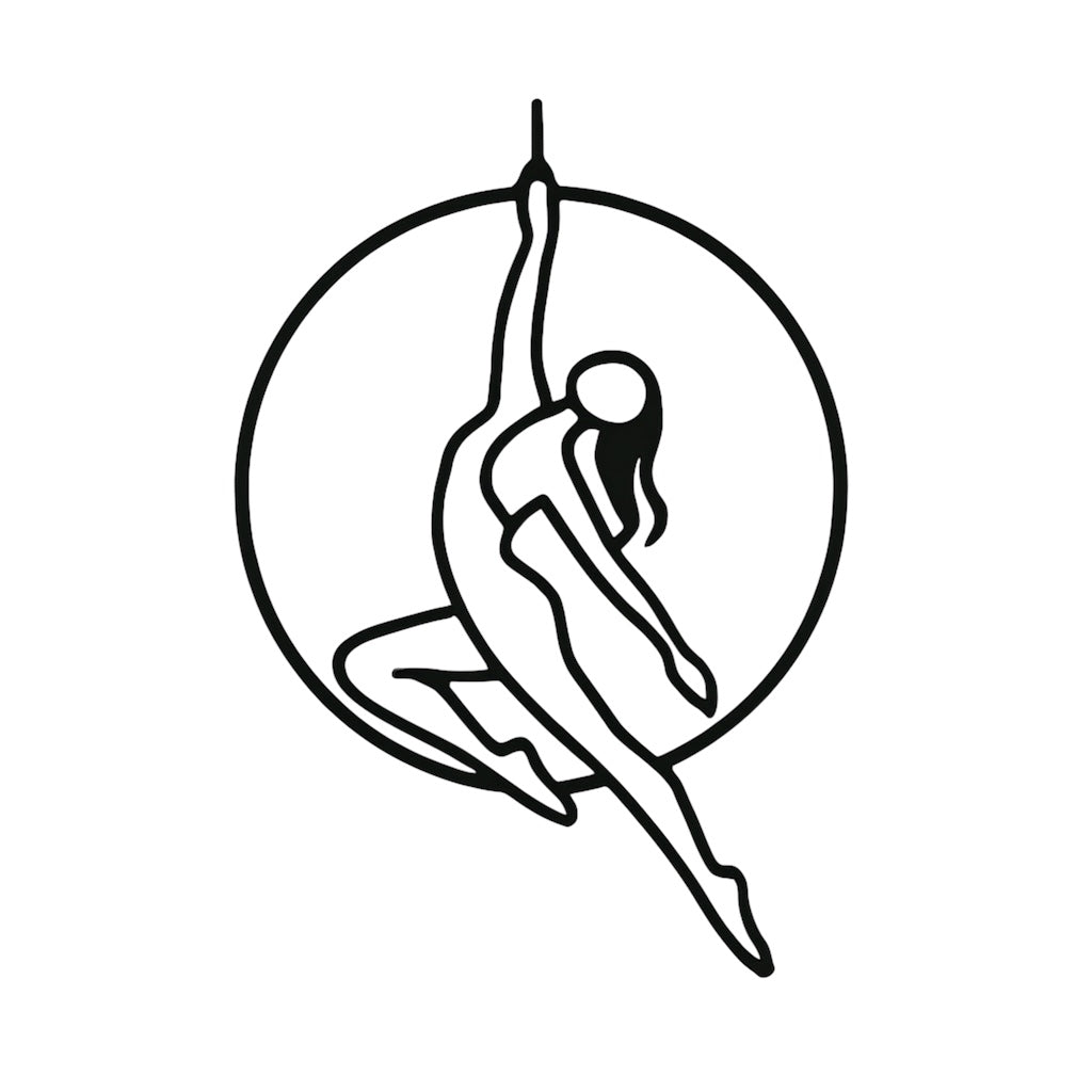 Cerchio aereo silouhette 1