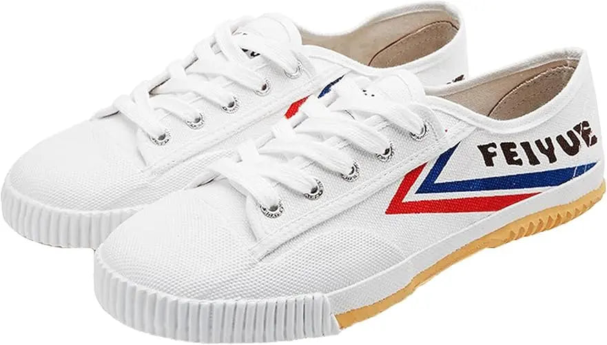 Scarpe Feiyue allenamento Arti Marziali KungFu Wushu Shaolin Tai Chi