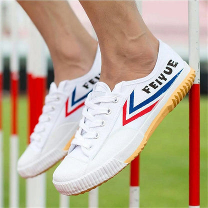 Scarpe Feiyue allenamento Arti Marziali KungFu Wushu Shaolin Tai Chi